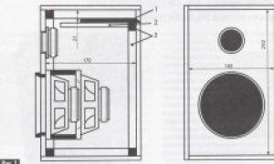 Features of the design of speakers with dual dynamic heads