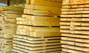 Značilnosti sušenja sadnega lesa