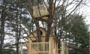 Kako zgraditi hišo na drevesu za otroke