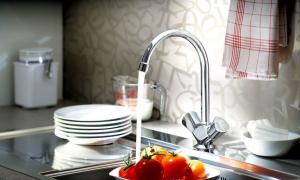 Repairing a single-lever faucet with your own hands: stages of work How to repair a kitchen faucet with one handle