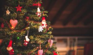 새해에 크리스마스 트리를 장식하는 방법 (사진 50 장) 올해 라이브 크리스마스 트리를 장식하는 방법